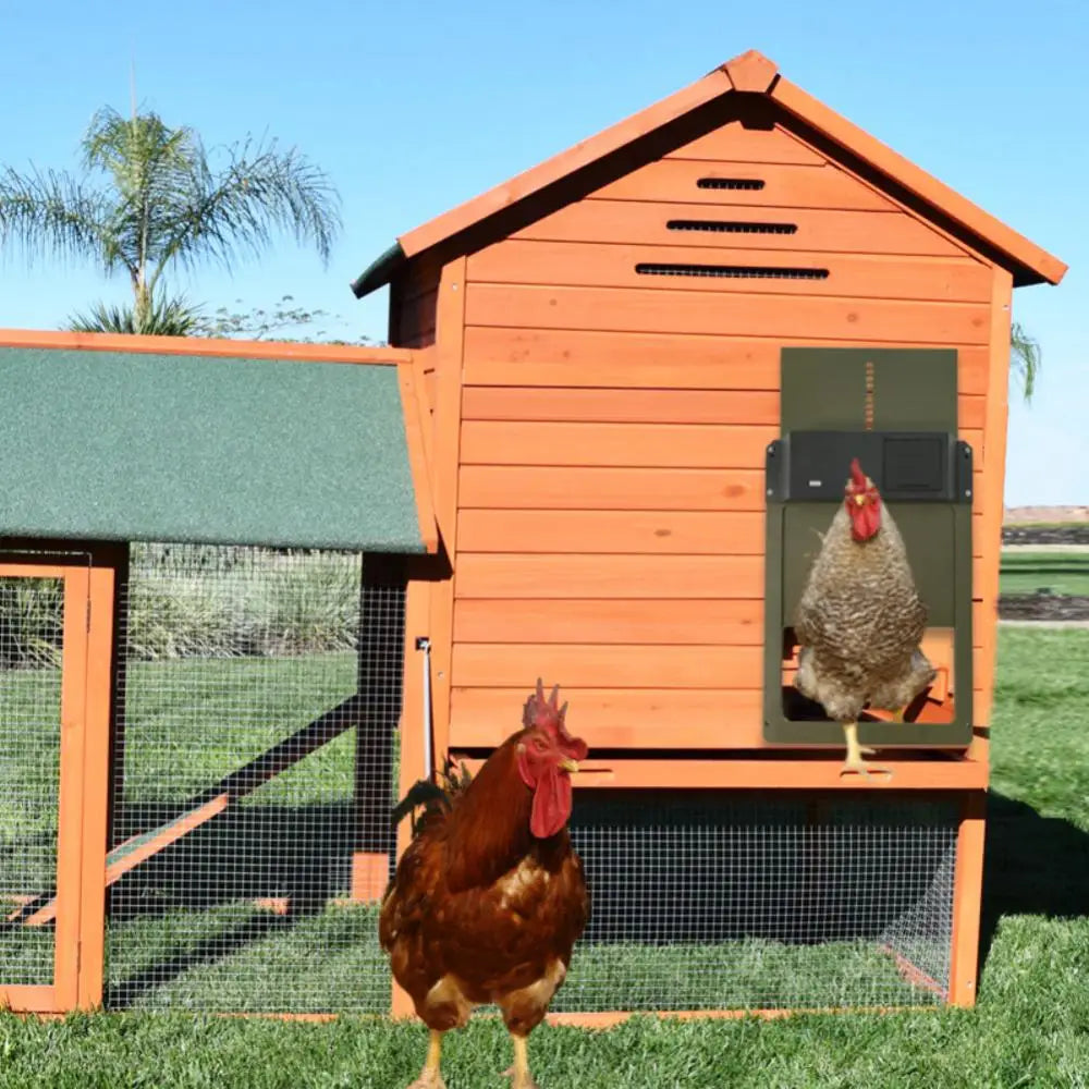 Automatic Chicken Coop Door Light Sensor Chicken House Door