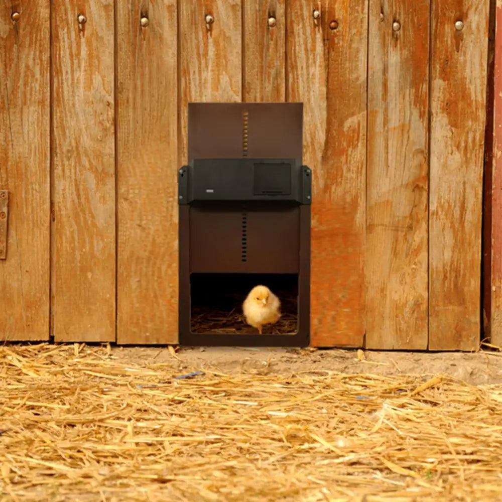 Automatic Chicken Coop Door Light Sensor Chicken House Door