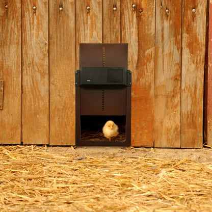 Automatic Chicken Coop Door Light Sensor Chicken House Door