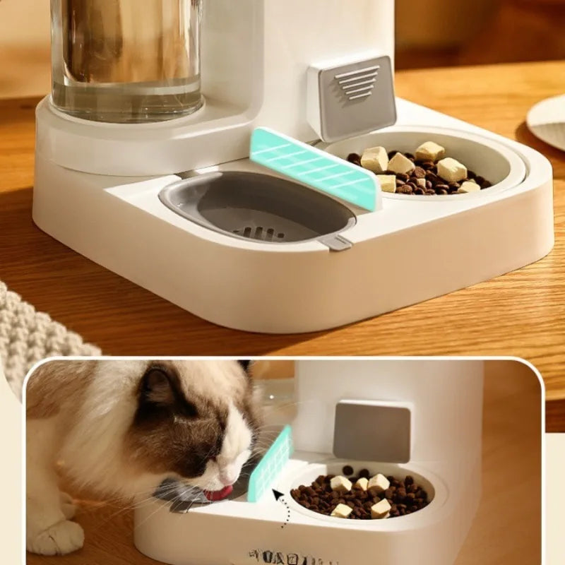 Cat Bowl - Automatic Feeder