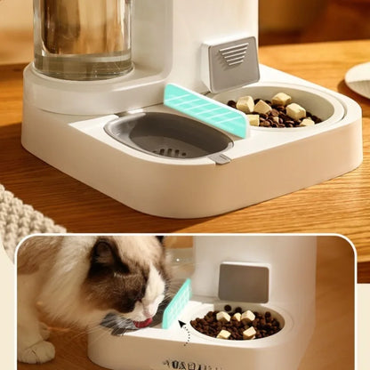 Cat Bowl - Automatic Feeder