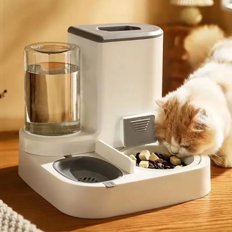 Cat Bowl - Automatic Feeder