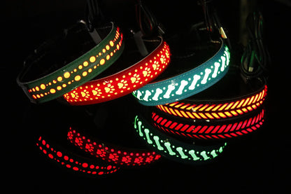 Collar luminoso Led para perro