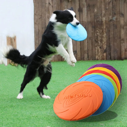 Juguete de disco volador para perros